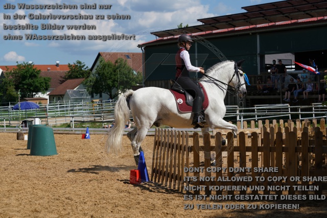 s_K3F06853.JPG